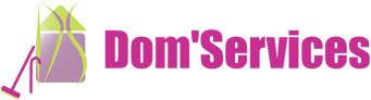 logo-domservices