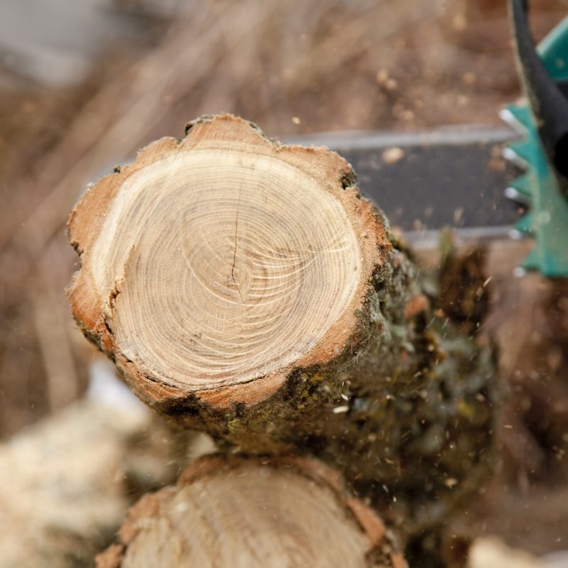 Man cutting piece of wood with chain saw. Man cutting piece of wood with chain saw.